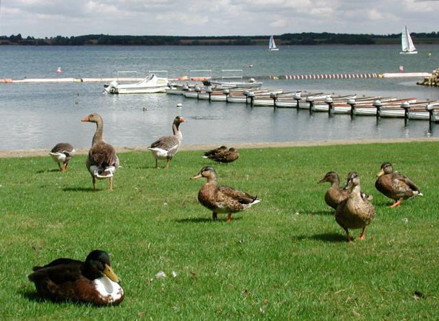 Grafham Water Lodge Exterior photo